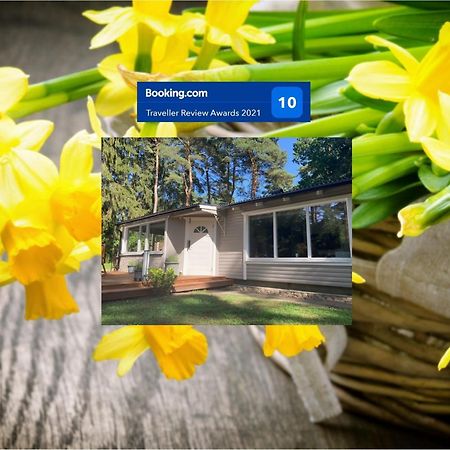 Sjöbo Nordic Relax House - Woodhouse 빌라 외부 사진