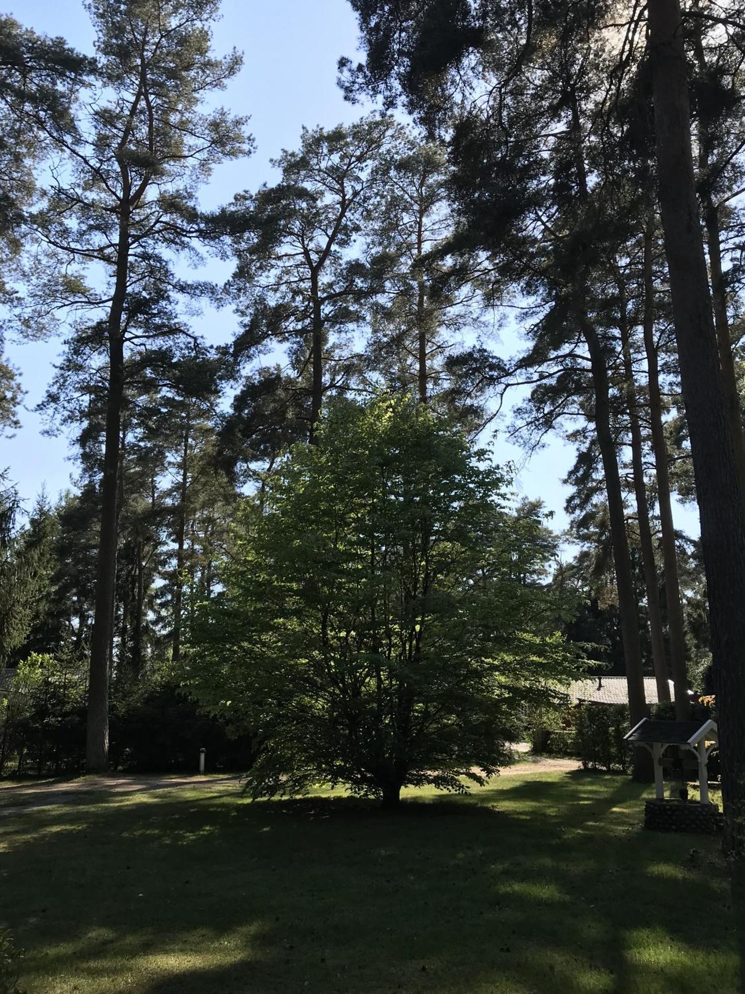 Sjöbo Nordic Relax House - Woodhouse 빌라 외부 사진